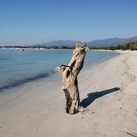 Сasa de vacaciones Farniente Entre Et Maquis *